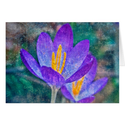 Crocus Cards (Front Horizontal)