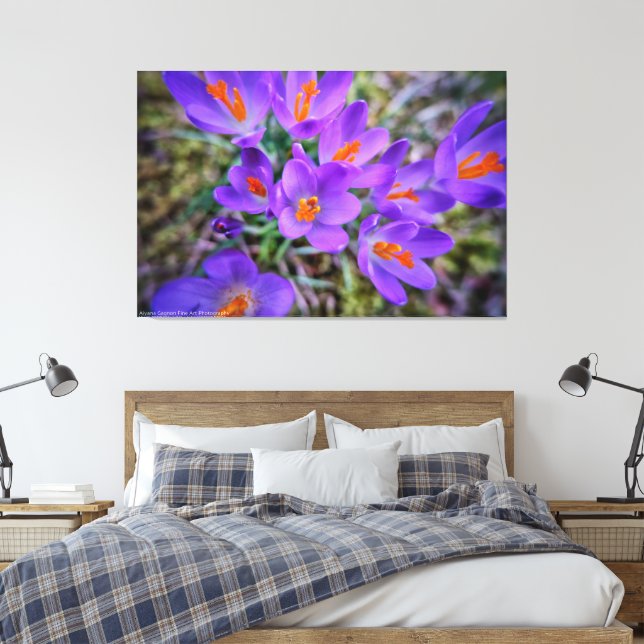 Crocus Fine Art Canvas Print (Insitu(Bedroom))