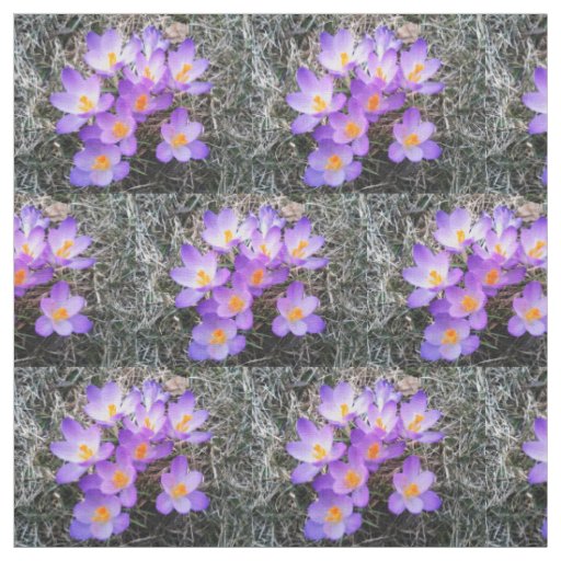 CROCUS FIRST SIGNS OF SPRING fabric