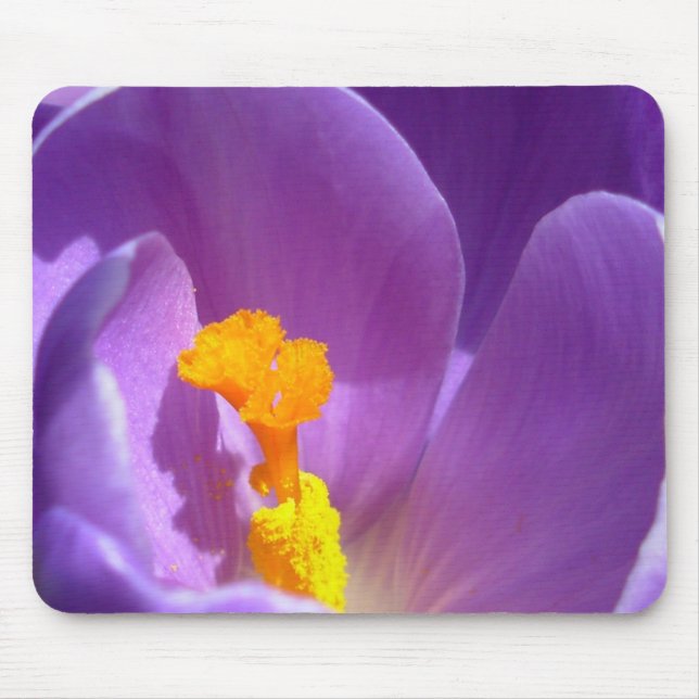 Crocus Flower Mousepad Purple / Blue Decor Gifts (Front)