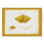 Crocus Geometer Moth watercolor (Front Horizontal)