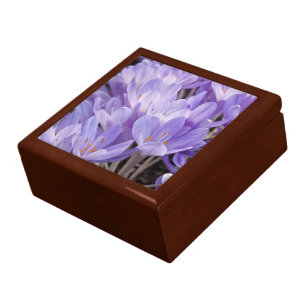 Crocus Gift Box