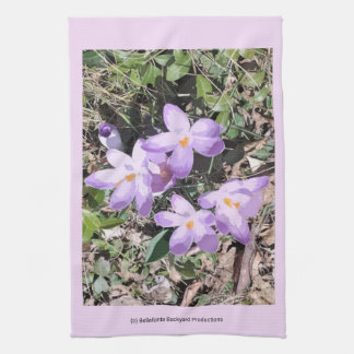 Crocus kitchen towel