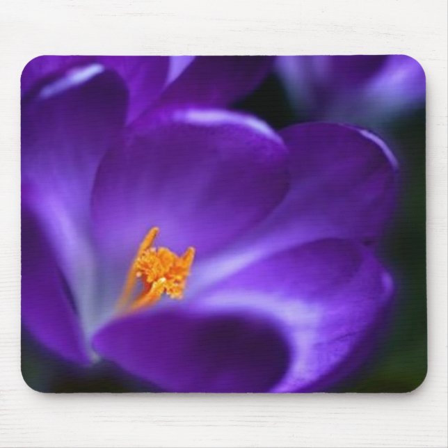 crocus mouse pad (Front)