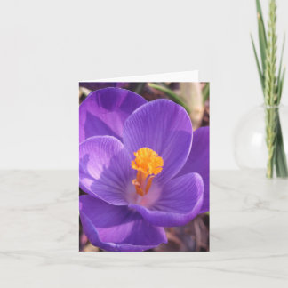 Crocus Note Card