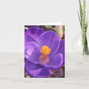 Crocus Note Card by HeavensWork at Zazzle