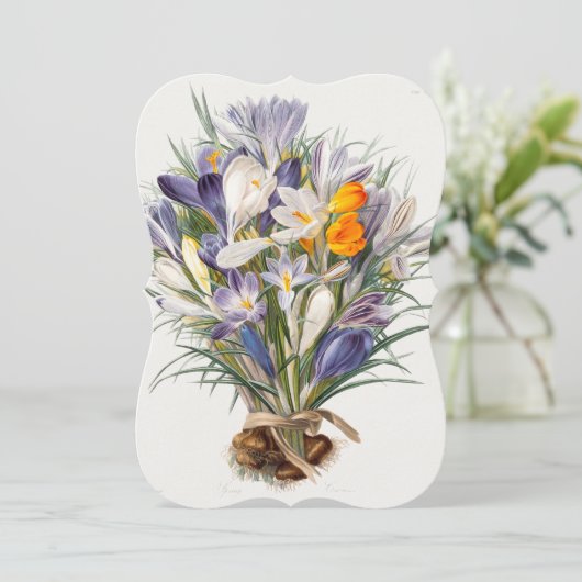 Crocus Spring Flower Botanical Floral Art (Standing Front)