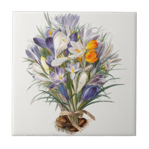 Crocus Spring Flower Botanical Floral Art Ceramic Tile