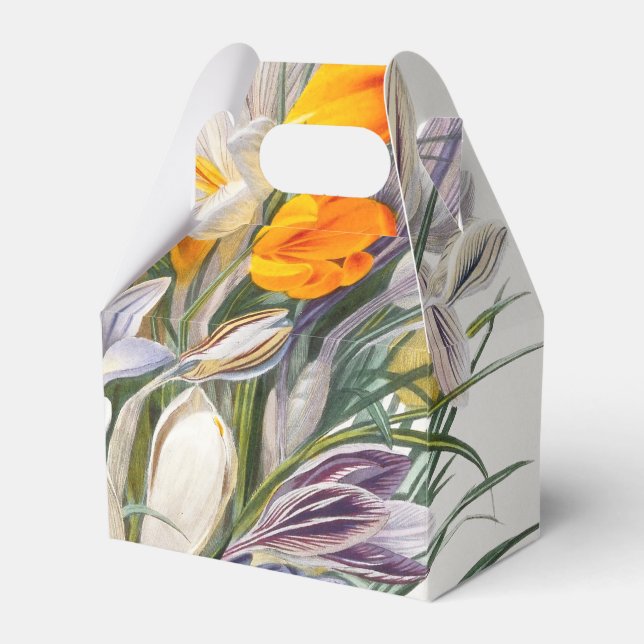 Crocus Spring Flower Botanical Floral Art Favor Boxes (Front Side)