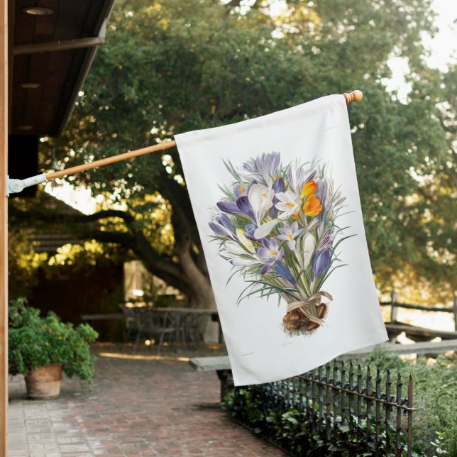 Crocus Spring Flower Botanical Floral Art House Flag (In SItu)