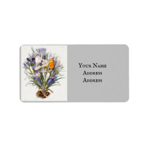 Crocus Spring Flower Botanical Floral Art Label