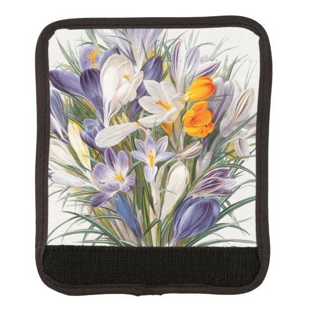 Crocus Spring Flower Botanical Floral Art Luggage Handle Wrap (Front)