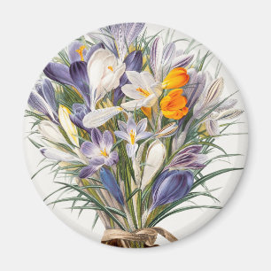 Crocus Spring Flower Botanical Floral Art Magnet