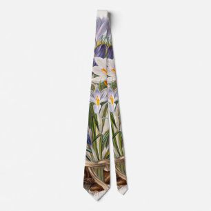 Crocus Spring Flower Botanical Floral Art Neck Tie