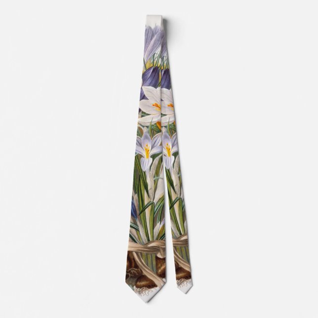 Crocus Spring Flower Botanical Floral Art Neck Tie (Front)