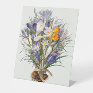 Crocus Spring Flower Botanical Floral Art Pedestal Sign