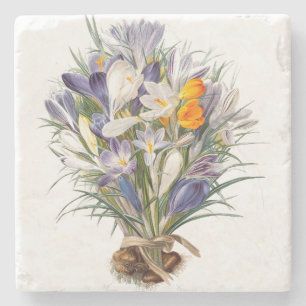 Crocus Spring Flower Botanical Floral Art Stone Coaster
