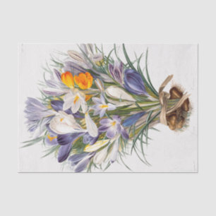 Crocus Spring Flower Botanical Floral Art Tissue Paper