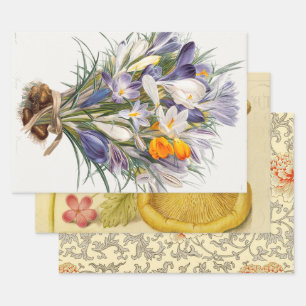 Crocus Spring Flower Botanical Floral Art Wrapping Paper Sheets