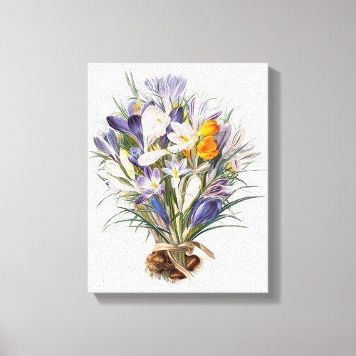 Crocus Spring Flower Floral Art Canvas Print