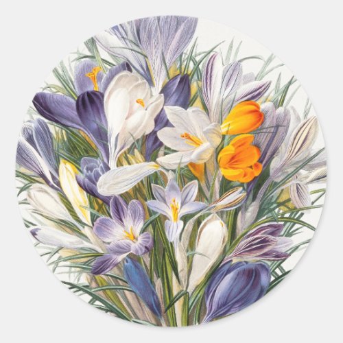 Crocus Spring Flower Floral Art Classic Round Sticker