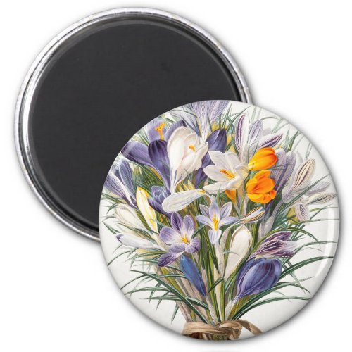 Crocus Spring Flower Floral Art Magnet