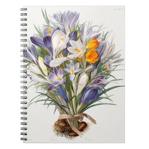 Crocus Spring Flower Floral Art Notebook