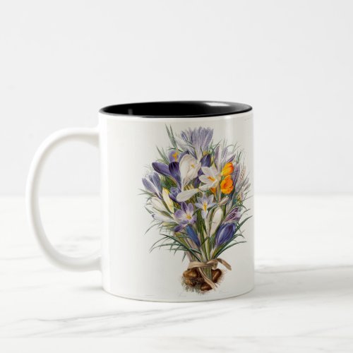 Crocus Spring Flower Floral Art Two_Tone Coffee Mug