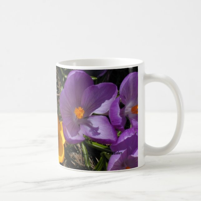 Crocus Trio, CEHiday Coffee Mug (Right)