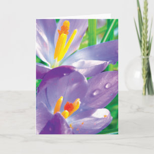 Crocus With Dew Colorful Flower Poetry Card