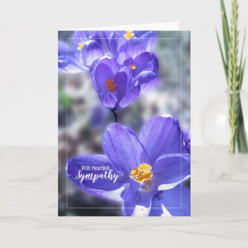 Crocus With Heartfelt Sympathy Photo Card