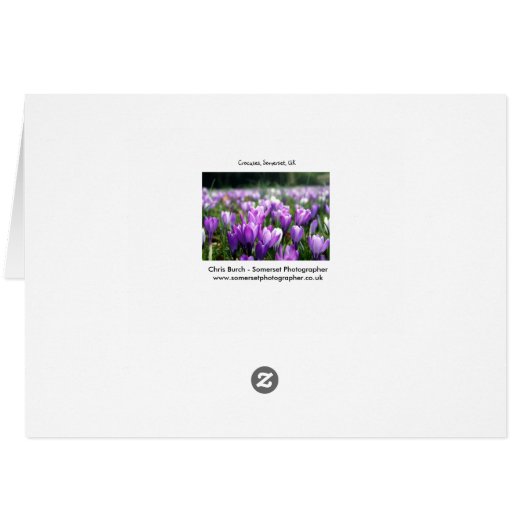 Crocuses (Back Horizontal)