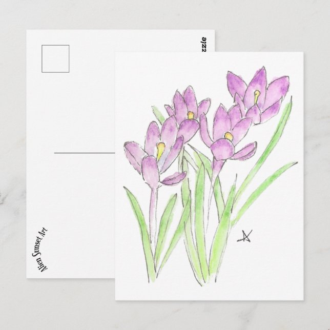 crocuses postcard (Front/Back)