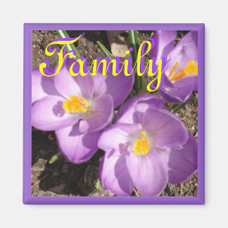 crocusfamilymagnet magnet