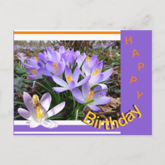Crocusses with Bee Happy Birthday Postcard