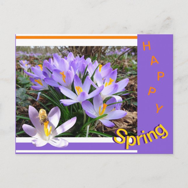 Crocusses with Bee Happy Spring Postcard (Front)