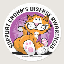 Crohn's Disease Cat Classic Round Sticker