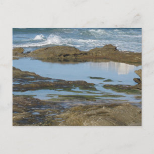 Cronulla Australia Original Travel Photography Postcard