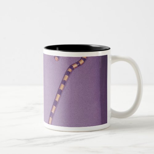 Crook and flail from the Tomb of Tutankhamun Two_Tone Coffee Mug