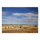 Crook County, Hay Bales (Front Horizontal)