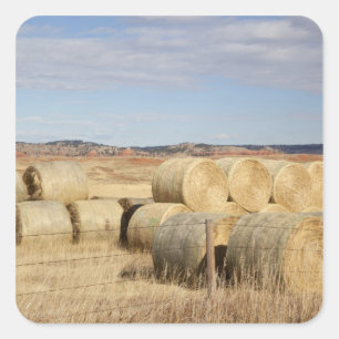 Crook County, Hay Bales Square Sticker