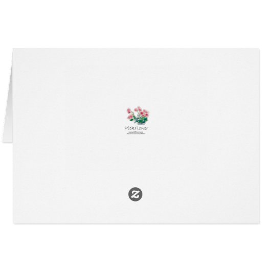 Crooked Daisy (Back Horizontal)