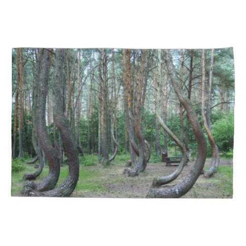 Crooked Forest _ Poland Pillow Case