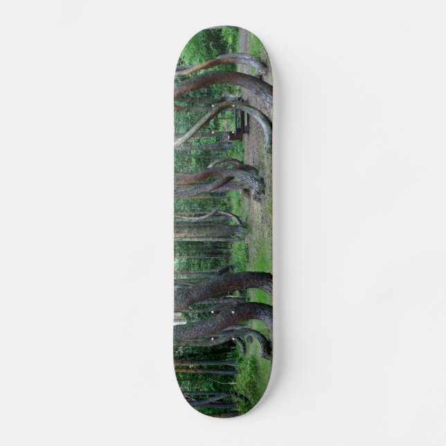 Crooked Forest - Poland Skateboard (Front)