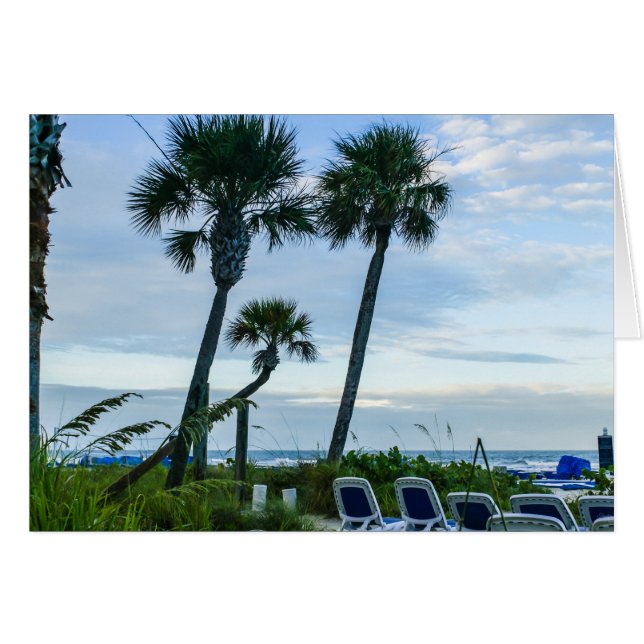 Crooked Palm Trees Cards (Front Horizontal)