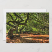 Crooked Trees of Lavizzara (Front)