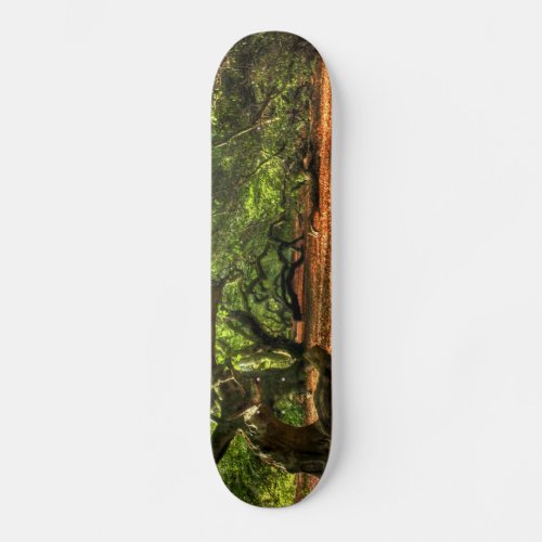 Crooked Trees of Lavizzara Skateboard