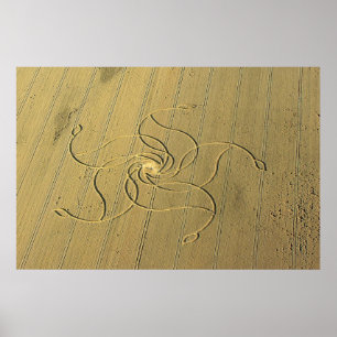 Crop Circle in Diessenhofen, Switzerland / Poster