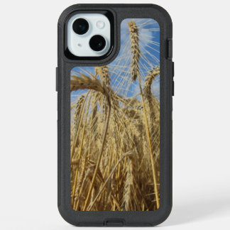 Crops of Cereals and Summer Sky iPhone 15 Plus Case
