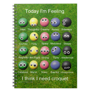 Croquet Emotions Notebook
